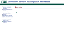 Tablet Screenshot of dsti.itam.mx